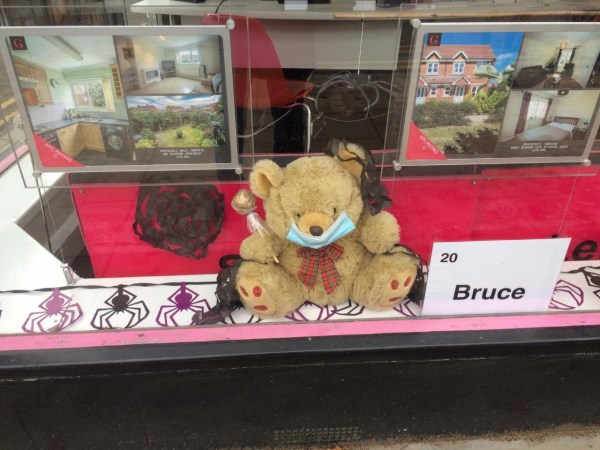 Teddy Bear Trail