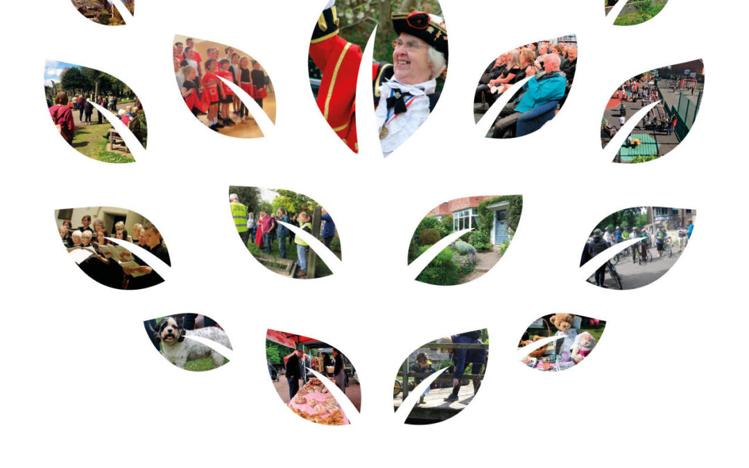 Printed Festival Programmes Now Available!