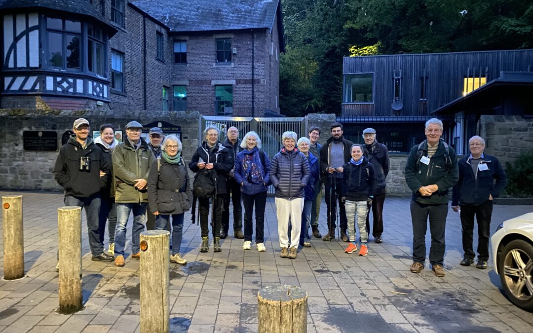 Dawn Chorus Walk