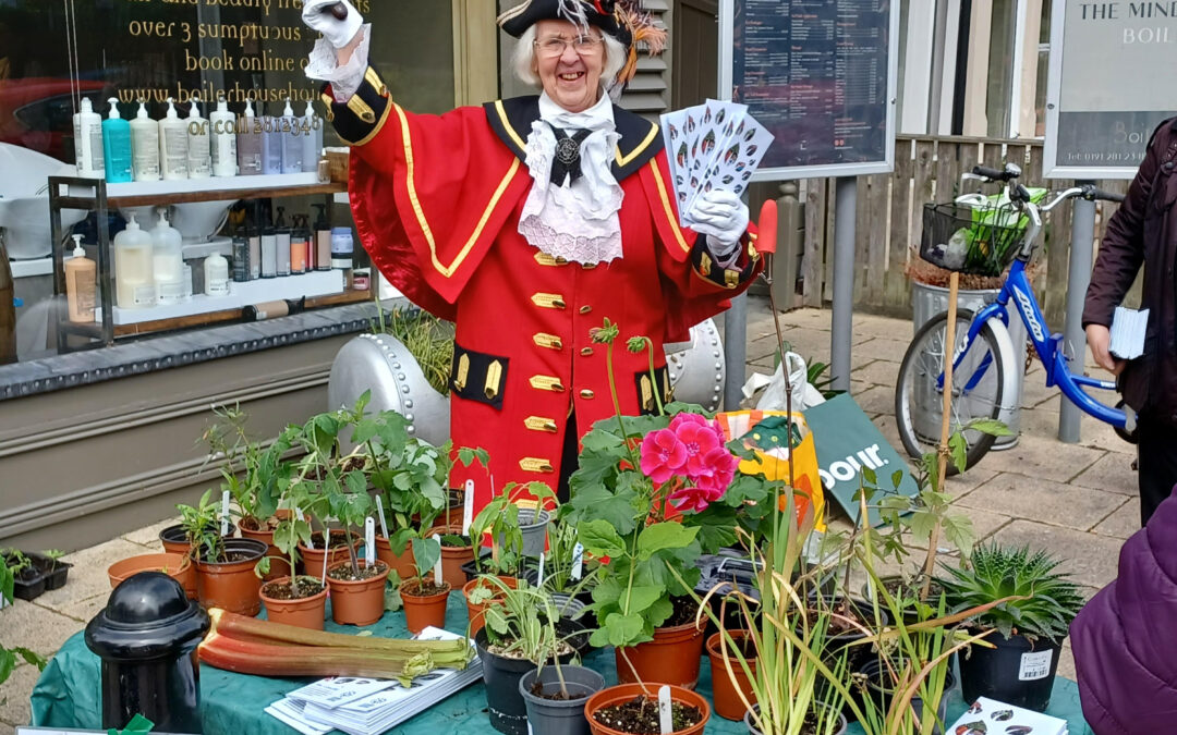 Plant Stall
