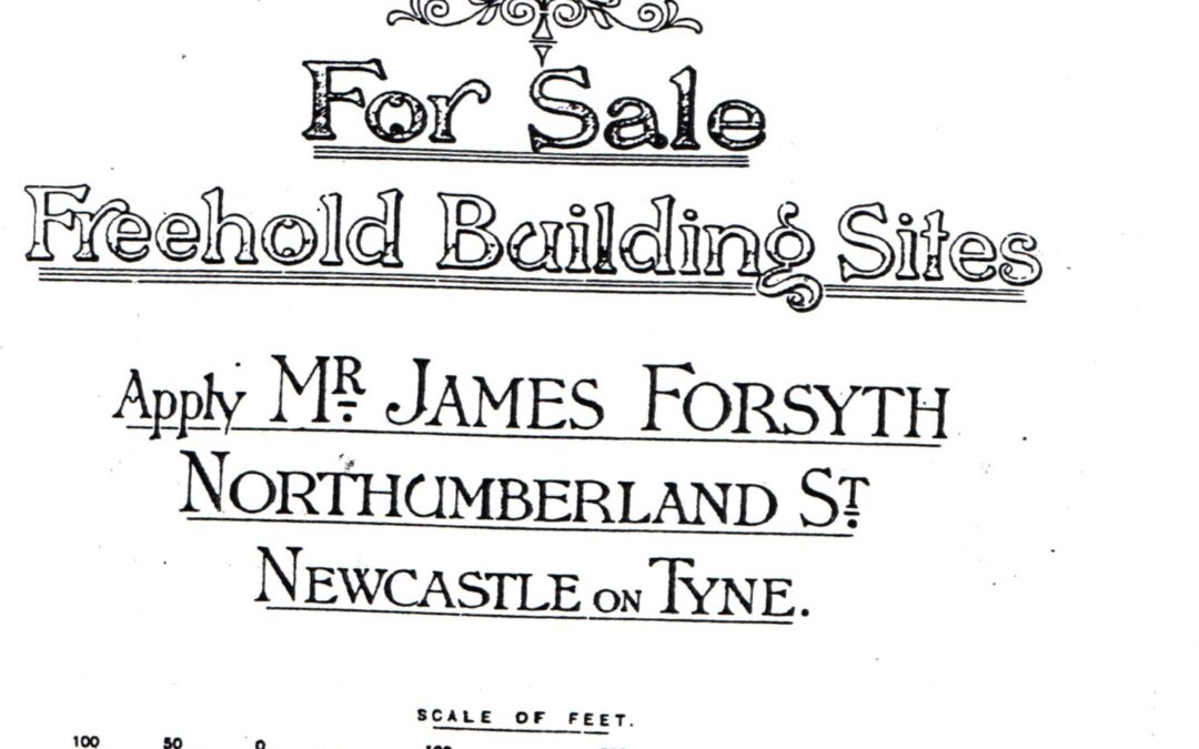 Tyneside Flats all Taken