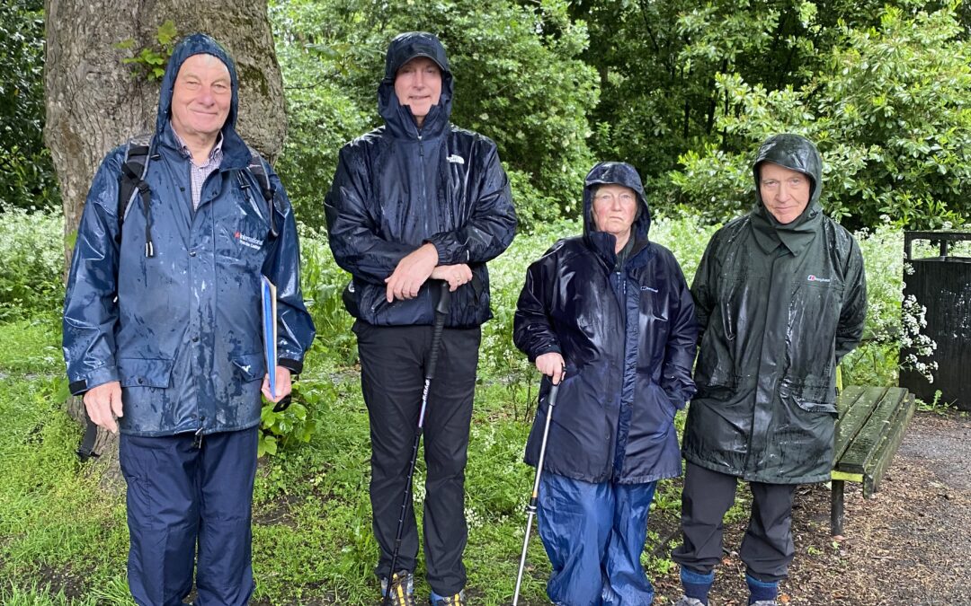 A Rainy Royal Route!